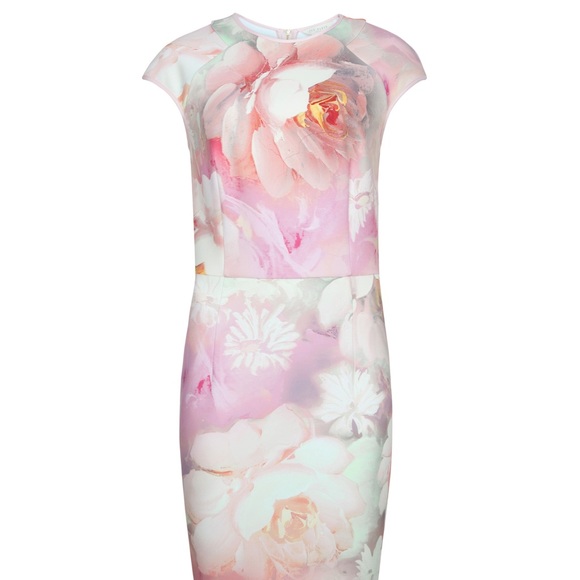 Ted Baker Rose Dress - Picture 3 of 4